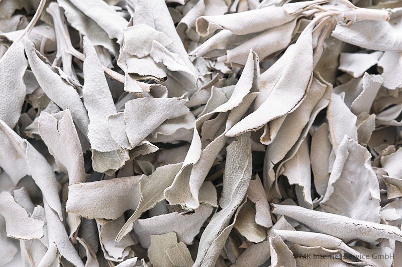 White Sage - Weißer Salbei (USA) 25 g