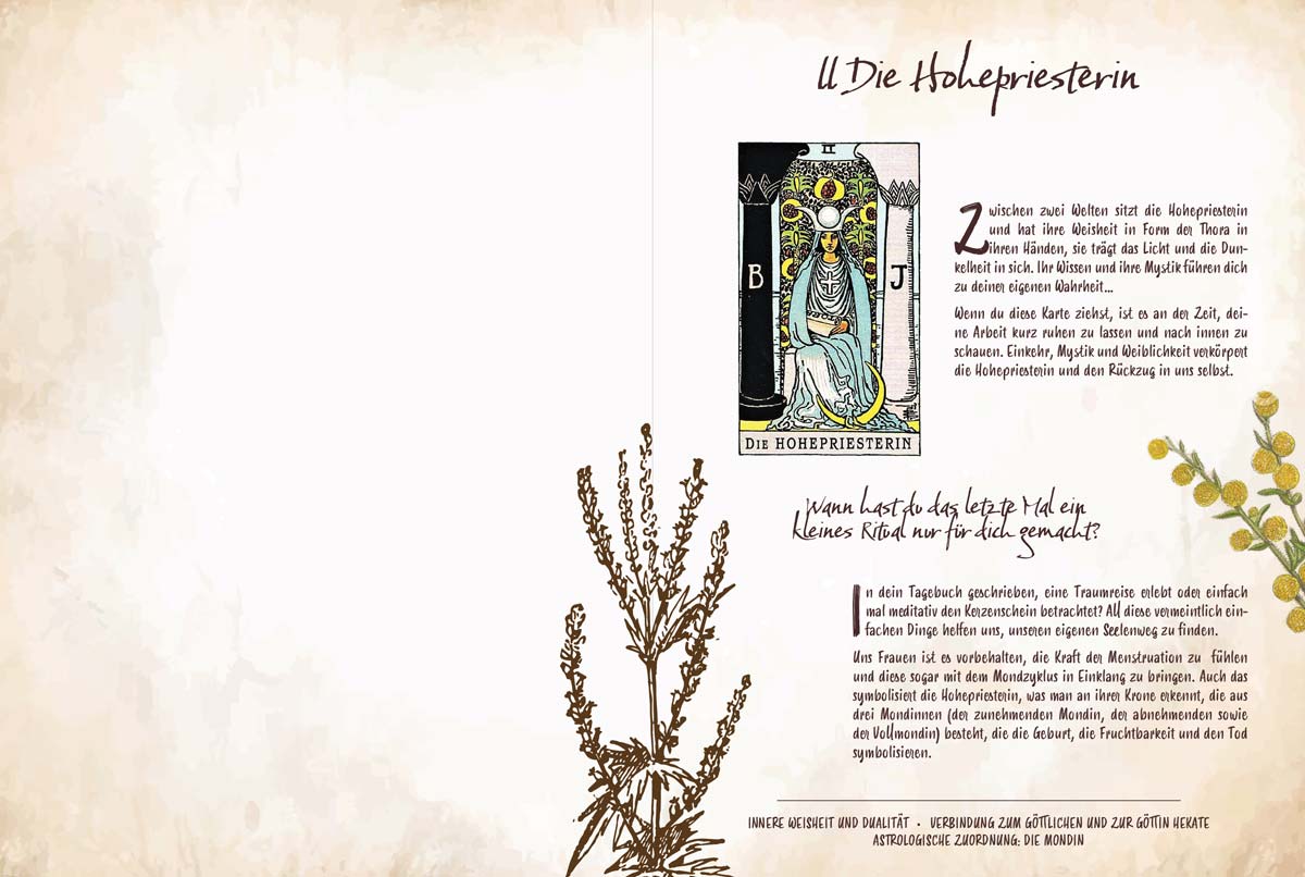 Tarot & Grüne MagieTarot & Grüne Magie von Chiara ButendeichBuch Tarot & Grüne Magie von Chiara Butendeich